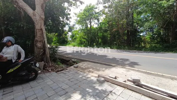 image RUKO MURAH SPINGGIR JALAN SIAP PAKAI (5)