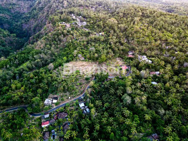 image TANAH VIEW LAUT & GUNUNG 1 HA – TEJAKULA, BALI UTARA | HARGA PROMO (3)