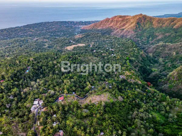 image TANAH VIEW LAUT & GUNUNG 1 HA – TEJAKULA, BALI UTARA | HARGA PROMO (1)