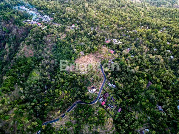 image TANAH VIEW LAUT & GUNUNG 1 HA – TEJAKULA, BALI UTARA | HARGA PROMO (4)