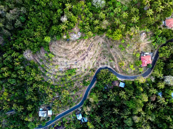 image TANAH VIEW LAUT & GUNUNG 1 HA – TEJAKULA, BALI UTARA | HARGA PROMO (2)