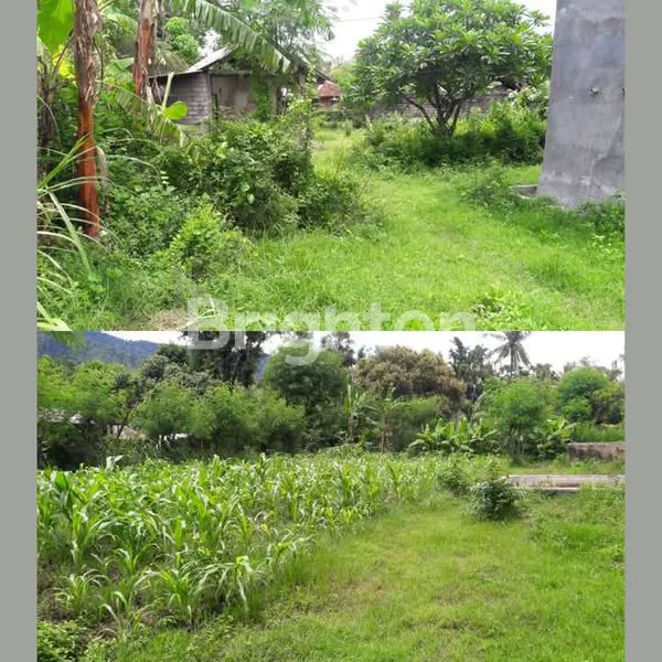 image TANAH STRATEGIS 12 ARE + BANGUNAN WALET | VIEW ALAM | SANGGALANGIT, SINGARAJA (4)
