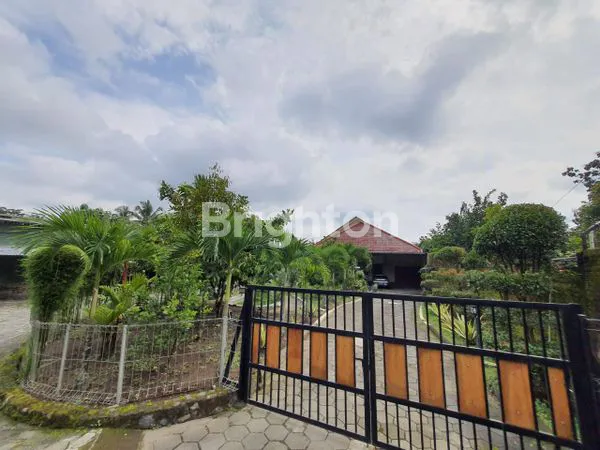 image RUMAH ETNIC KLASIK MODERN, MEWAH DAN LUAS DI SLEMAN JOGJA, SULTAN ZONE! (1)