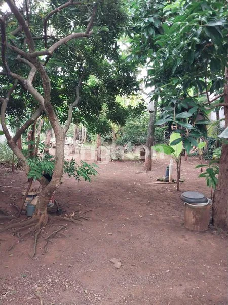 image TANAH JLN PUTER BINTARO (1)