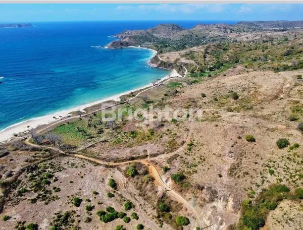 image DIJUAL GLOBAL TANAH LEPAS PANTAI PREMIUM DI LOMBOK (1)