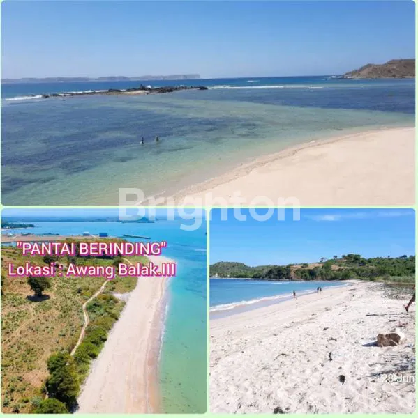 image DIJUAL GLOBAL TANAH LEPAS PANTAI PREMIUM DI LOMBOK (5)