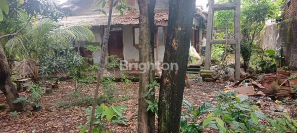 image DIJUAL RUMAH TUA HITUNG TANAH + BONUS 2 KIOS AKTIF - LOKASI STRATEGIS MAMPANG PRAPATAN  JAKARTA SELATAN (7)