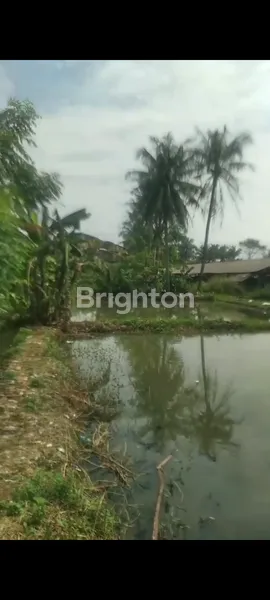 image TANAH DIJUAL DI SAWANGAN DUMEK  (7)