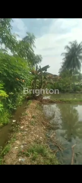 image TANAH DIJUAL DI SAWANGAN DUMEK  (8)