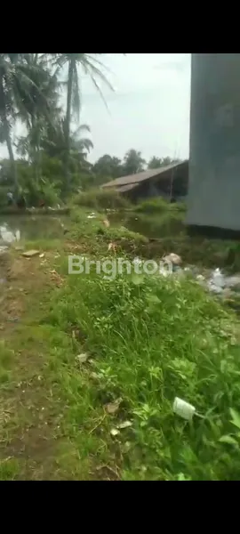 image TANAH DIJUAL DI SAWANGAN DUMEK  (5)