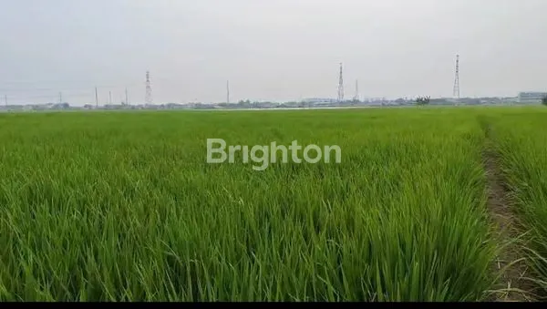 image TANAH LUAS 4.830M² DI TARUMAJAYA, BEKASI (2)