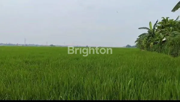 image TANAH LUAS 4.830M² DI TARUMAJAYA, BEKASI (1)