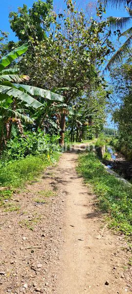 image TANAH BANDARA YIA JOGJA (5)