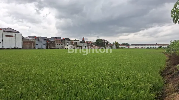 JUAL TANAH SHM SIAP BANGUN DI RANCANUMPANG GEDEBAGE KOTA BANDUNG