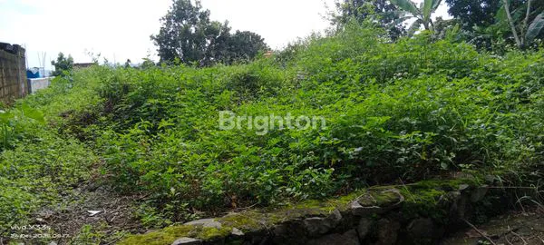 image TANAH SIAP BANGUN DI UNGARAN, SUASANA SEJUK (2)