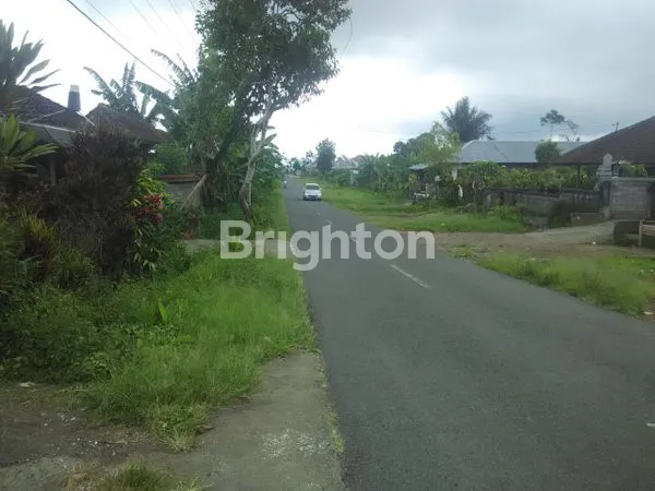 TANAH NEXT DEKAT DENGAN BANDARA BALI UTARA BULELENG