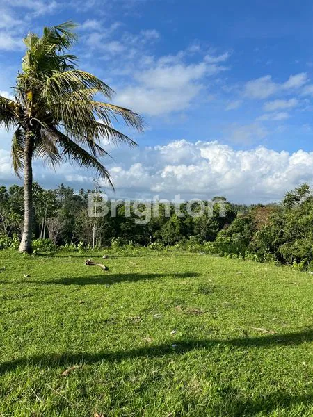 image TANAH STRATEGIS DI JLN PANTAI KLECUNG, DEKAT PANTAI & COCOK UNTUK VILLA (1)