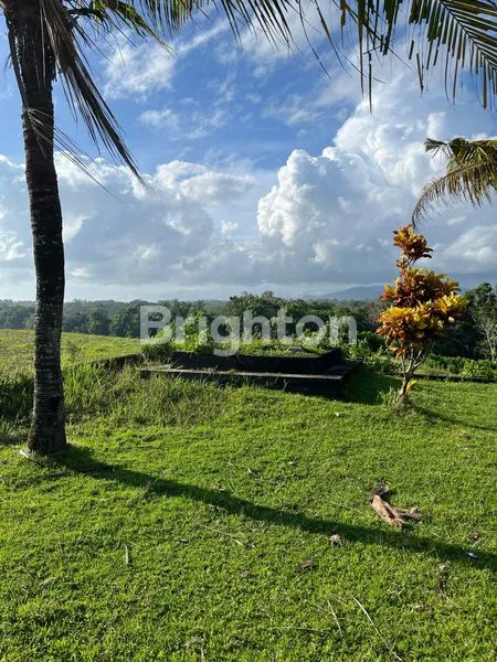 image TANAH STRATEGIS DI JLN PANTAI KLECUNG, DEKAT PANTAI & COCOK UNTUK VILLA (2)