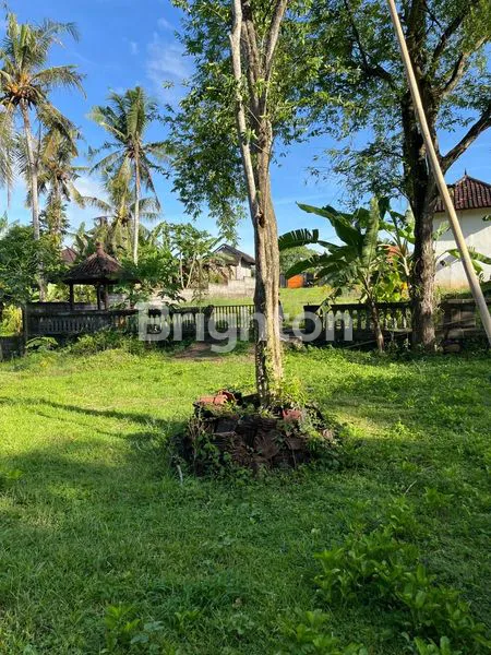 image TANAH STRATEGIS DI JLN PANTAI KLECUNG, DEKAT PANTAI & COCOK UNTUK VILLA (4)