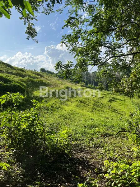 image TANAH STRATEGIS DI JLN PANTAI KLECUNG, DEKAT PANTAI & COCOK UNTUK VILLA (3)