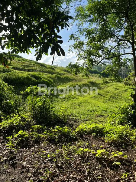 image TANAH STRATEGIS DI JLN PANTAI KLECUNG, DEKAT PANTAI & COCOK UNTUK VILLA (6)