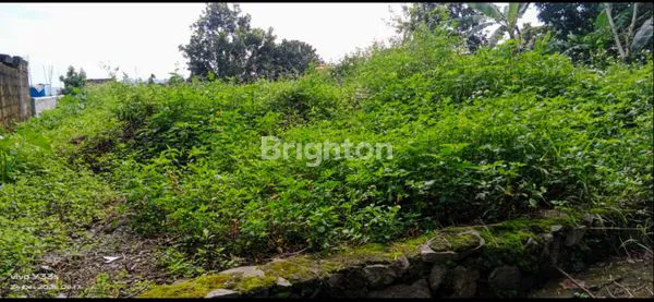 image TANAH SIAP BANGUN DI UNGARAN, SUASANA SEJUK (5)