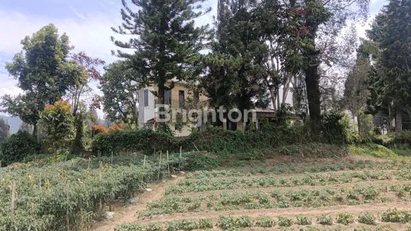 image TANAH STRATEGIS DI BERASTAGI DEKAT BUKIT KUBU (6)