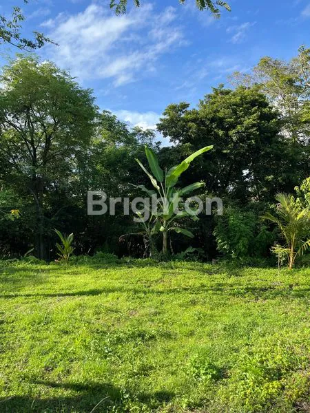 TANAH STRATEGIS 900M² DEKAT PANTAI KLECUNG, INVESTASI TEPAT!