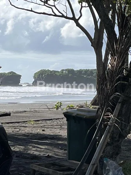 image TANAH LUAS 6000M² DI PANTAI KLECUNG, VIEW GUNUNG & SAWAH (3)