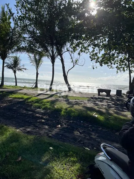 image TANAH LUAS 6000M² DI PANTAI KLECUNG, VIEW GUNUNG & SAWAH (4)