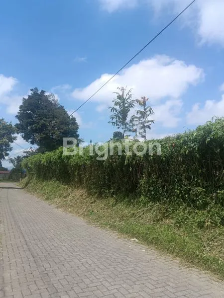 image TANAH STRATEGIS DI BERASTAGI DEKAT BUKIT KUBU (7)