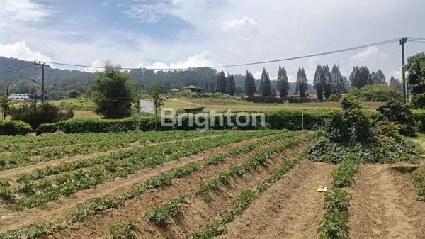 image TANAH STRATEGIS DI BERASTAGI – DEKAT BUKIT KUBU\N (1)