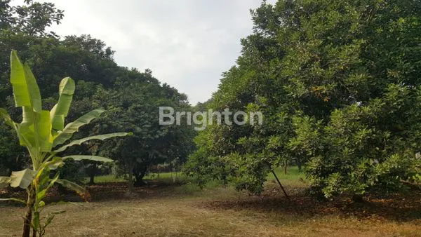 image TANAH LUAS DAN STRATEGIS (5)