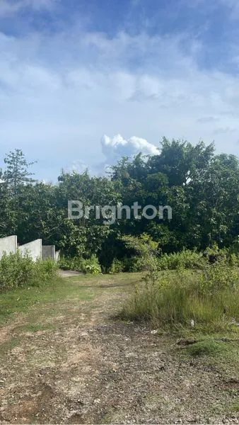 image TANAH KAVLING JIMBARAN ULUWATU 2000M2 (1)