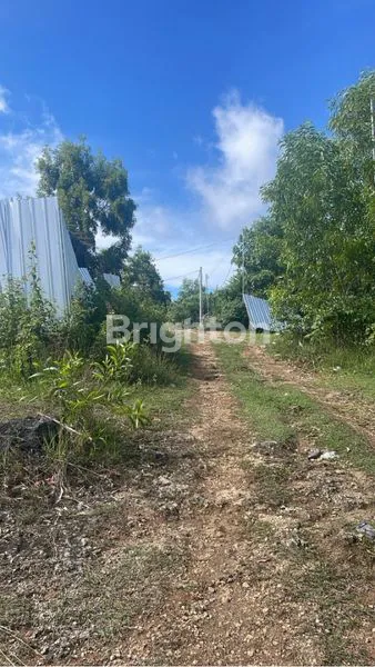 image TANAH KAVLING JIMBARAN ULUWATU 2000M2 (2)