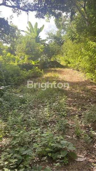 image TANAH ULUWATU 1000M2 LAHAN LOKASI PRIME (3)