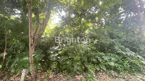 image TANAH ULUWATU 1000M2 LAHAN LOKASI PRIME (2)
