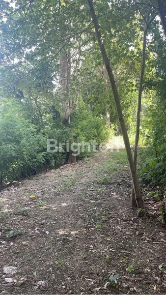 image TANAH ULUWATU 1000M2 LAHAN LOKASI PRIME (1)