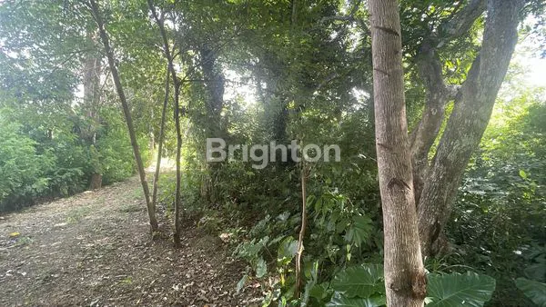 image TANAH ULUWATU 1000M2 LAHAN LOKASI PRIME (4)