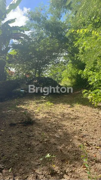 image TANAH ULUWATU 1000M2 LAHAN LOKASI PRIME (5)