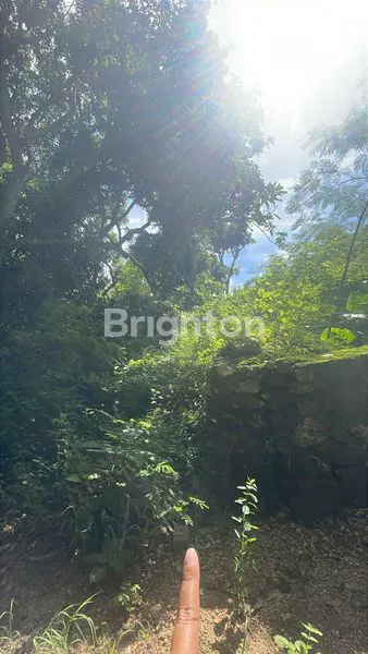 image TANAH ULUWATU 1000M2 LAHAN LOKASI PRIME (6)