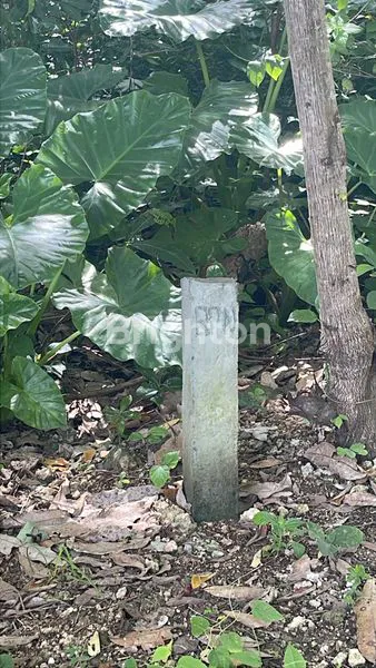 image TANAH ULUWATU 1000M2 LAHAN LOKASI PRIME (7)