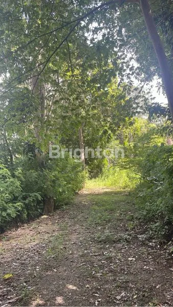 image TANAH ULUWATU 1000M2 LAHAN LOKASI PRIME (8)
