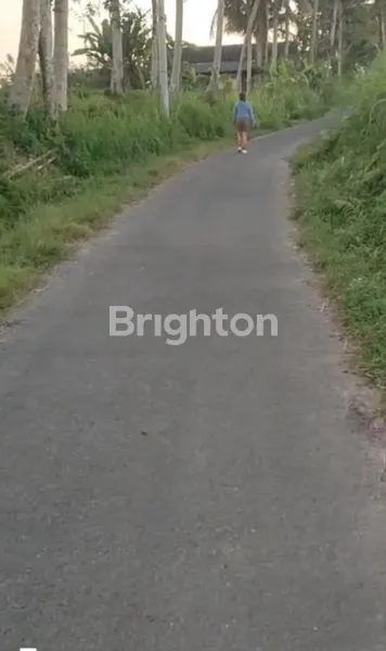 image \U2728 DIJUAL TANAH PREMIUM 16 ARE - UBUD, VIEW SAWAH & GUNUNG \U2728\N (7)