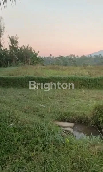 image \U2728 DIJUAL TANAH PREMIUM 16 ARE - UBUD, VIEW SAWAH & GUNUNG \U2728\N (8)