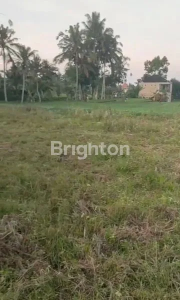 image \U2728 DIJUAL TANAH PREMIUM 16 ARE - UBUD, VIEW SAWAH & GUNUNG \U2728\N (3)