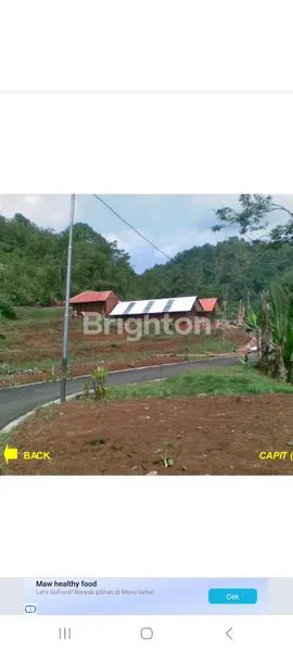 image TANAH DI JUAL DI BAWAH HARGA PASARAN (1)