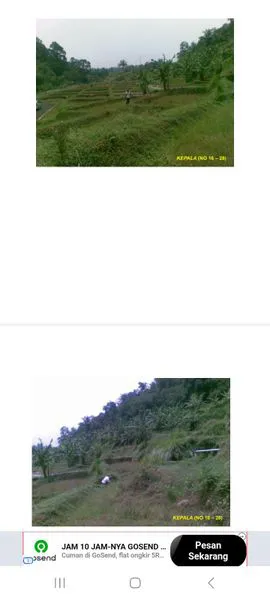 image TANAH DI JUAL DI BAWAH HARGA PASARAN (4)