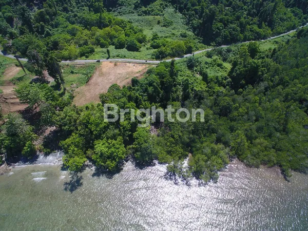 image LEASEHOLD 25 TAHUN TANAH PINGGIR PANTAI DI RAJA AMPAT (2)