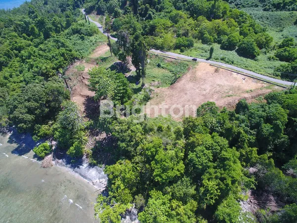 image LEASEHOLD 25 TAHUN TANAH PINGGIR PANTAI DI RAJA AMPAT (5)